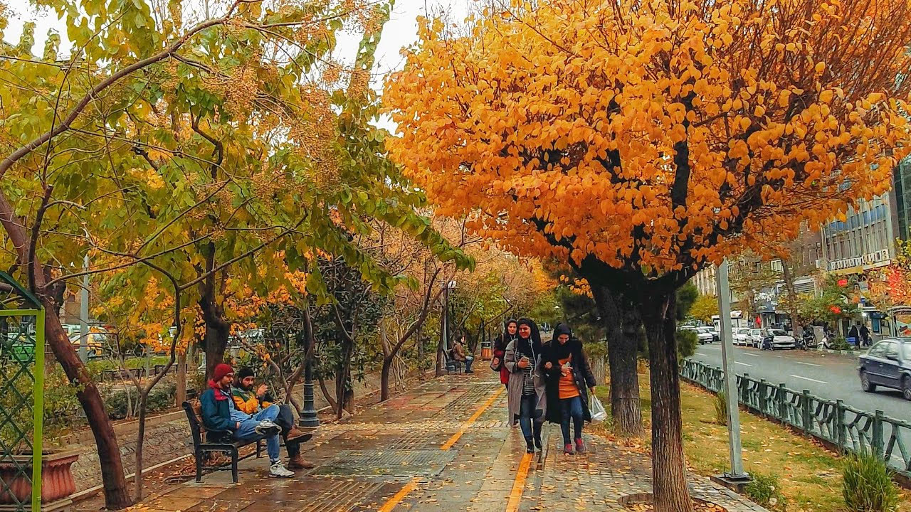 بلوار کشاورز تا پارک لاله – یادگار ارزشمند