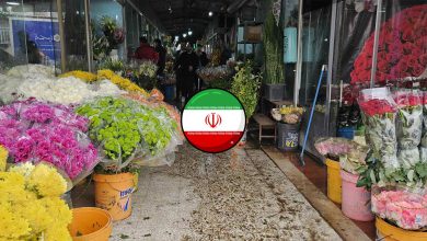 بهترین بازار گل تهران [معرفی 9 مرکز + مشخصات و آدرس]