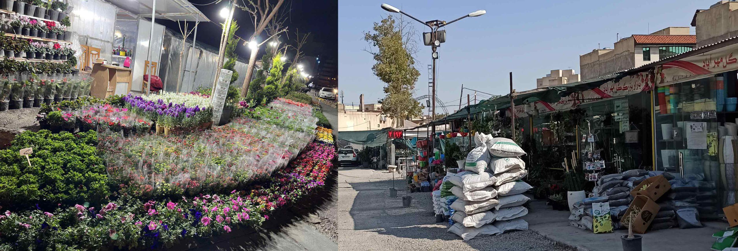 بازار گل ستارخان