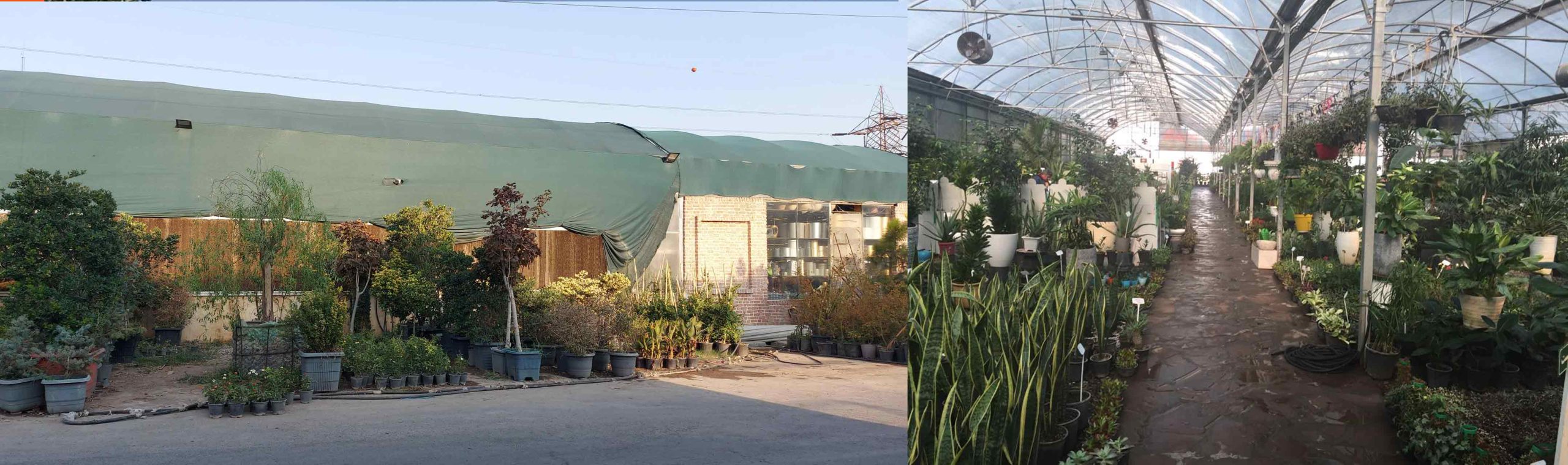 بازار گل شهید لشگری