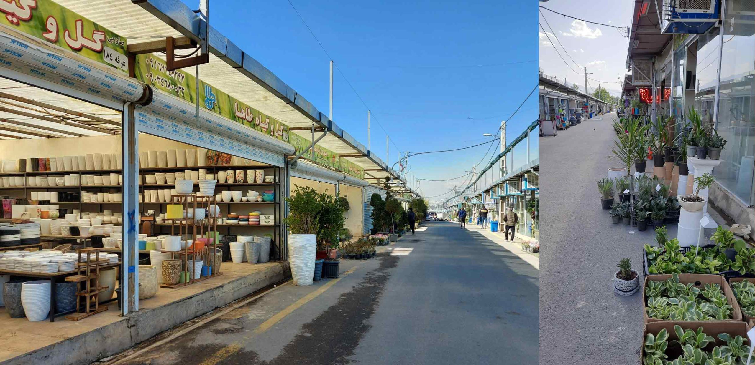 بازار گل شهید بابایی