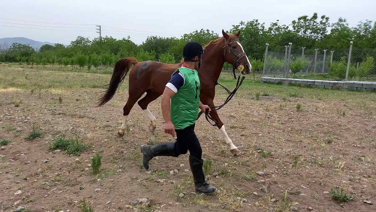 باشگاه سوارکاری نوروزآباد
