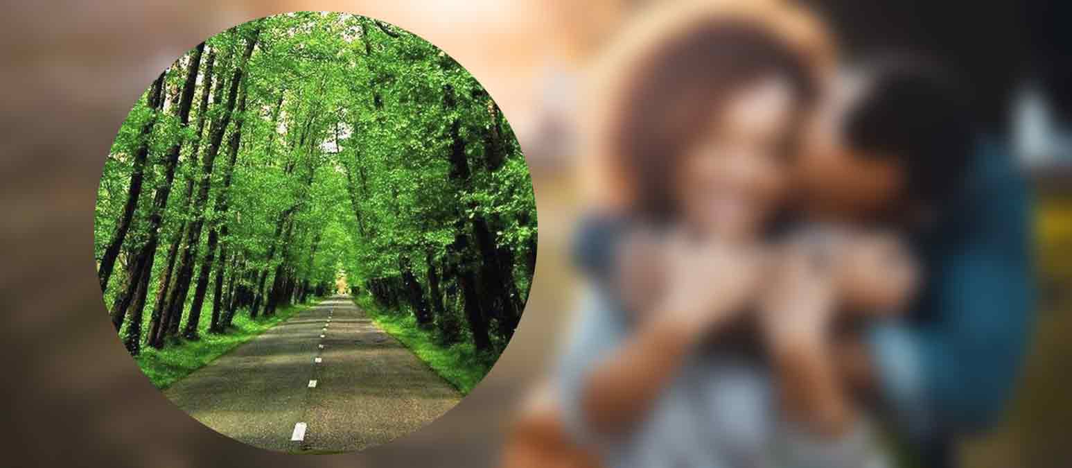 جنگل های گیسوم