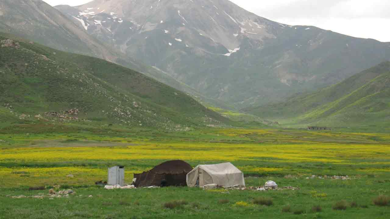 دشت لار