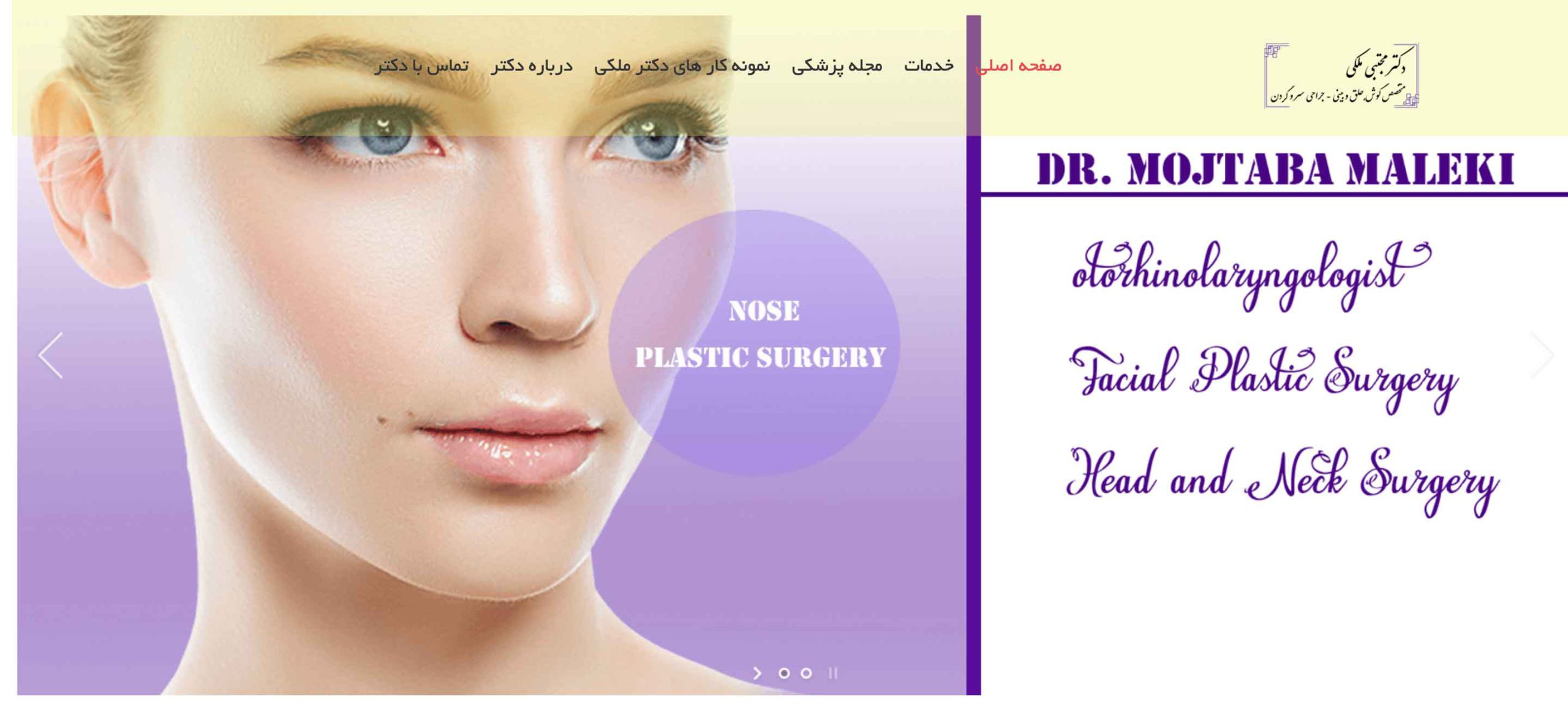 دکتر مجتبی ملکی