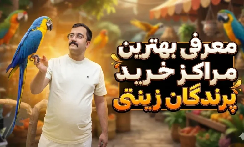 معرفی بهترین مراکز خرید طوطی و پرندگان زینتی